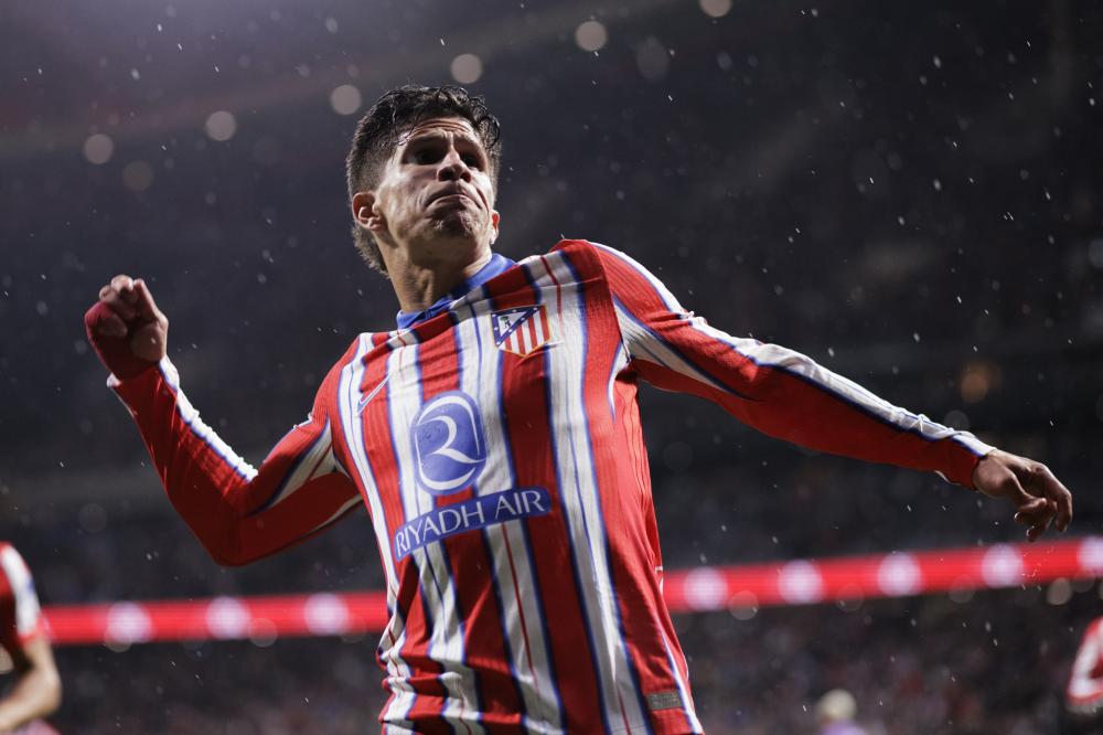 提供了诸多 提供了诸多